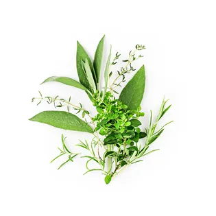 hierbas de olor caldo de res con verduras maxicarne