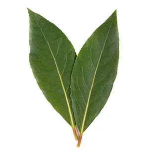 hojita de laurel codillo en salsa mexicana maxicarne