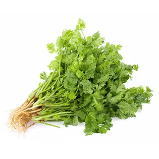 cilantro recorte 80/20 con mango y cilantro maxicarne